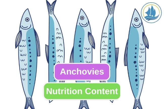 These Are Some Nutrition You Get from Anchovies